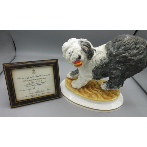 290 - Royal Worcester Old English Sheepdog by Kenneth Potts, limited edition of 250, H22.5cm, with framed ... 