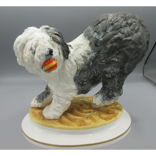 290 - Royal Worcester Old English Sheepdog by Kenneth Potts, limited edition of 250, H22.5cm, with framed ... 