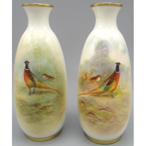 1224 - Pair of Royal Worcester vases, ovoid bodies painted with cock and hen Pheasant, shape 2491, date cod... 