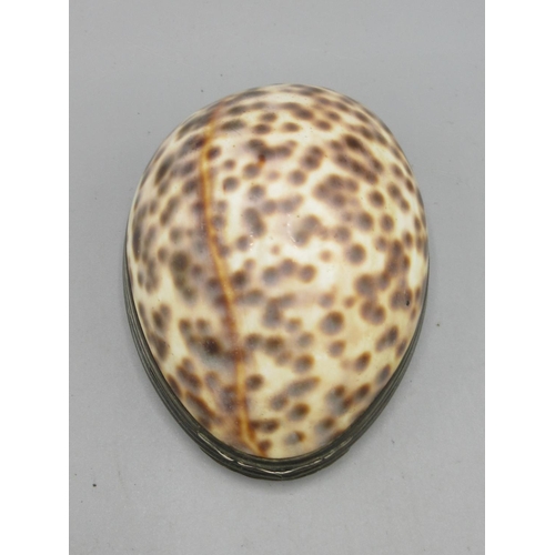 1108 - Early 19th century Cowrie shell snuff box, white metal oval reeded edged mount with hinged cover, L8... 