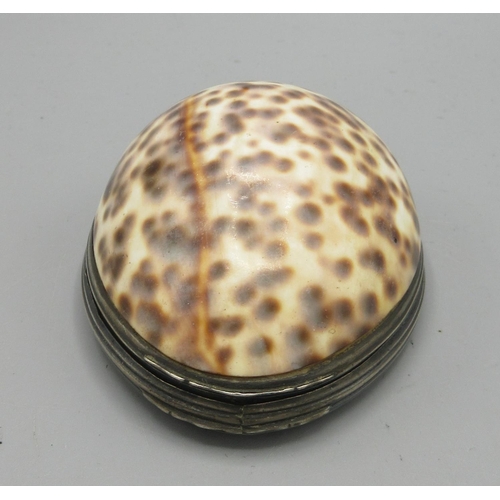 1108 - Early 19th century Cowrie shell snuff box, white metal oval reeded edged mount with hinged cover, L8... 