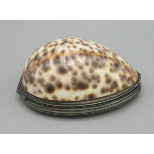 1108 - Early 19th century Cowrie shell snuff box, white metal oval reeded edged mount with hinged cover, L8... 