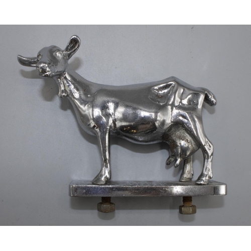 1135 - Chromed metal car bonnet mascot, Nanny Goat, on rectangular base stamped, Made in England, H9.5cm