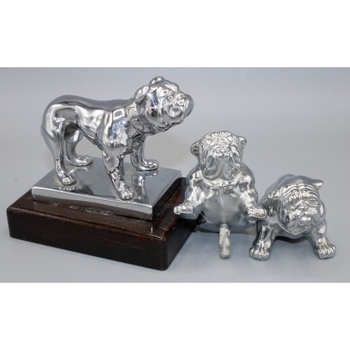 1130 - Chromed metal car bonnet mascot, modelled as a standing Bulldog, on rectangular base and wooden plin... 