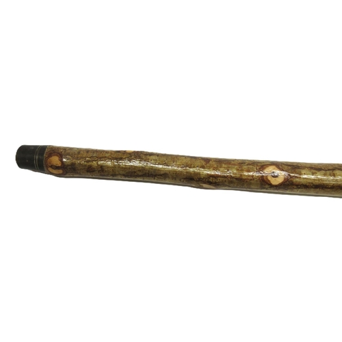 1299 - Craftsman made stick, horn handle shaped and painted as a Rainbow Trout, L128cm