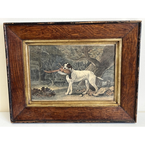 1301 - 19th century colour print of a gundog with pheasant in a wood, moulded oak frame with gilt slip, 17c... 