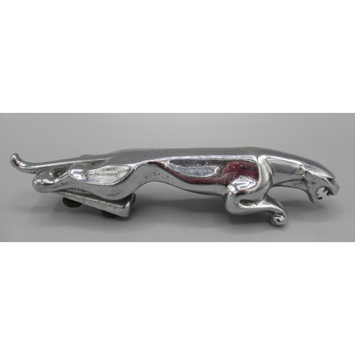 149 - Jaguar car bonnet mascot No 7100911WBB, L20cm