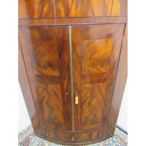 582 - William IV figured mahogany bow front corner cupboard, shaped cornice with acorn moulded frieze abov... 