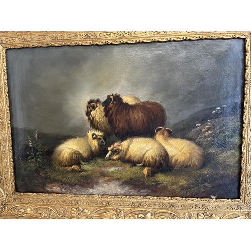 543 - Follower of Thomas Sidney Cooper; Moorland sheep in a landscape, oil on canvas, 48cm x 74cm