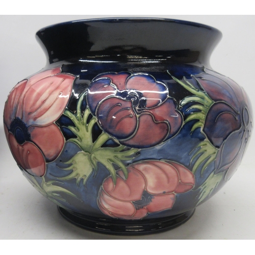 698 - Moorcroft Pottery, Anemone pattern jardiniere, red and purple flowers on dark blue ground, H21cm, wi... 