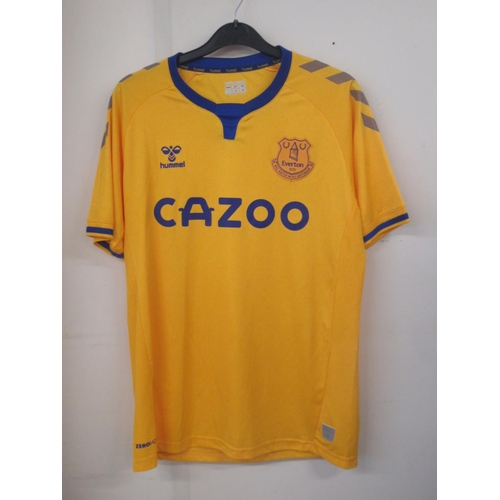 935 - Everton F.C. - Large collection of Everton F.C. football shirts, tracksuit tops,etc., in various siz... 