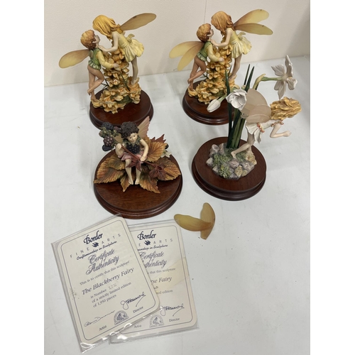 206 - Border Fine Arts Flower Fairies figure groups: 'Gorse Fairy' x2, 'The Blackberry Fairy', and 'Narcis... 