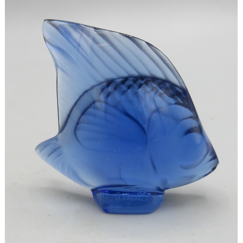 210 - Late 20th century Lalique cobalt blue glass angel fish, H5cm