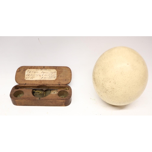 1007 - Ostrich egg, H15cm and 19th Century pair of cased hanging apothecary/sovereign scales, L15.5cm