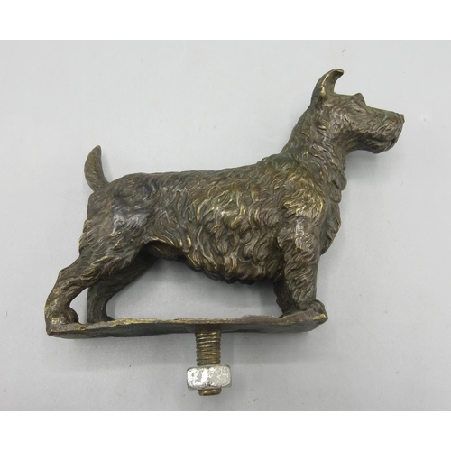 1262 - Bronze car mascot in the form of a terrier, unmounted, H8.5cm