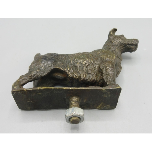 1262 - Bronze car mascot in the form of a terrier, unmounted, H8.5cm