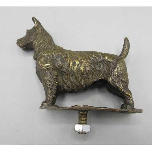 1262 - Bronze car mascot in the form of a terrier, unmounted, H8.5cm