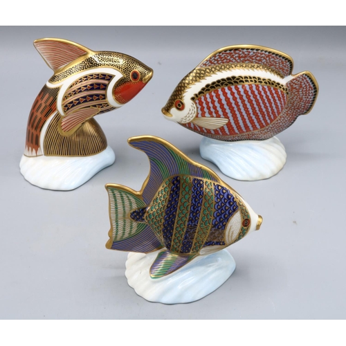 329 - Three Royal Crown Derby Tropical Fish paperweights, all with gold stoppers, max. H13cm