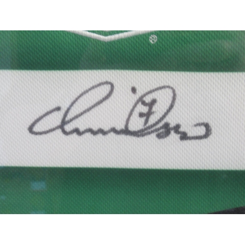 340 - Framed and signed Henrik Larsson Celtic Football shirt, 75cm x 85cm