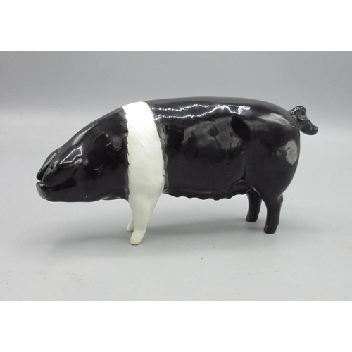 376 - Beswick Merrywood Silver Wings S6, saddleback pig, H8cm