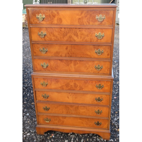 586 - Cameo Furniture walnut tallboy chest of eight drawers, with brass handles on bracket feet, W81cm D45... 