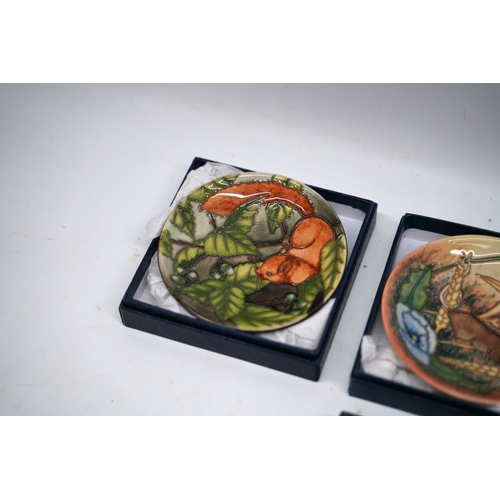 304 - Four Moorcroft pin dishes with boxes, incl. a pin dish featuring a bird surrounded by red berries an... 