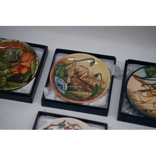 304 - Four Moorcroft pin dishes with boxes, incl. a pin dish featuring a bird surrounded by red berries an... 