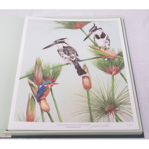 1376 - The Sappi Selection - David Ord Kerr The Kingfishers and Bee-Eaters of Southern Africa, book print h... 