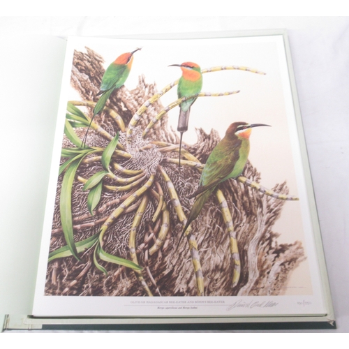 1376 - The Sappi Selection - David Ord Kerr The Kingfishers and Bee-Eaters of Southern Africa, book print h... 