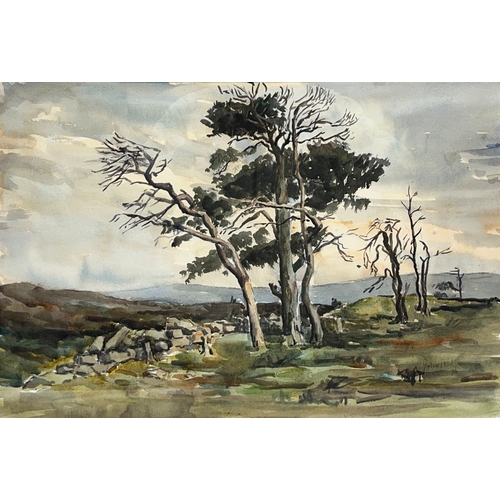 1339 - Malcolm Russell (British Contemporary); 'House Rigg, Egton' watercolour, signed, 35cm x 52cm