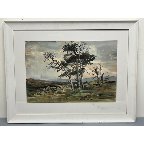 1339 - Malcolm Russell (British Contemporary); 'House Rigg, Egton' watercolour, signed, 35cm x 52cm