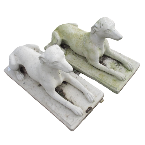 1605 - Pair of composite models of recumbent hounds on rectangular bases W72cm D32cm H42cm (2)