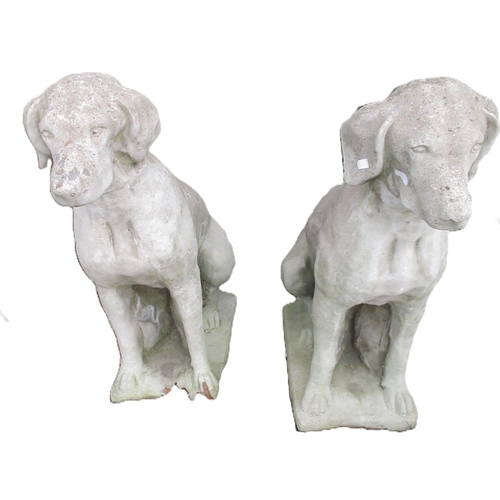 1607 - Pair of composite models of seated hounds, on rectangular bases W27cm D44cm H70cm (2)