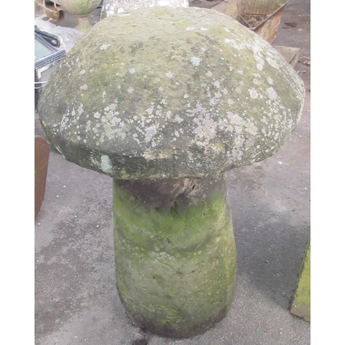 1688 - Grit stone staddle stone, typical mushroom top on tapered cylindrical column support, W50cm D50cm H7... 