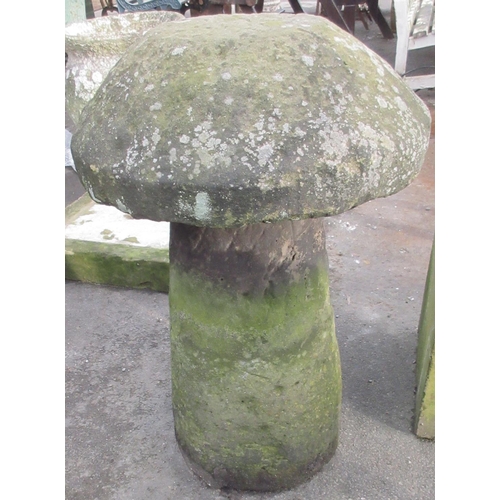 1688 - Grit stone staddle stone, typical mushroom top on tapered cylindrical column support, W50cm D50cm H7... 