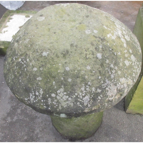 1688 - Grit stone staddle stone, typical mushroom top on tapered cylindrical column support, W50cm D50cm H7... 