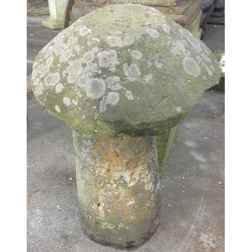 1699 - Grit stone staddle stone, typical mushroom top on tapered cylindrical column support, W45cm D45cm H7... 