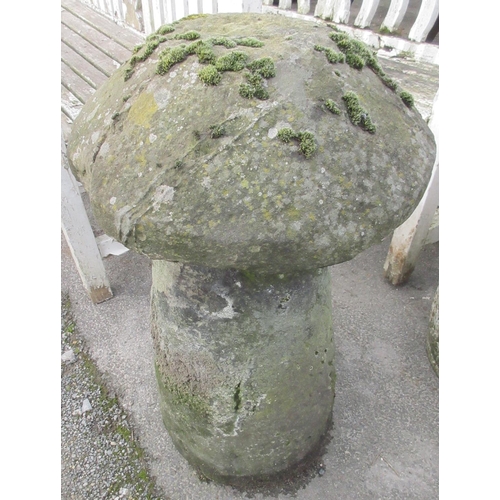 1700 - Grit stone staddle stone, typical mushroom top on tapered cylindrical column support, W41cm D41cm H7... 