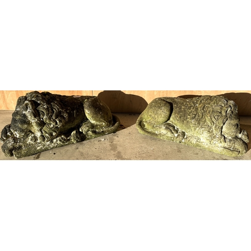 1608 - Pair of weathered composition models of Canover Lions, on rectangular bases, W56cm D23cm H30 (2)