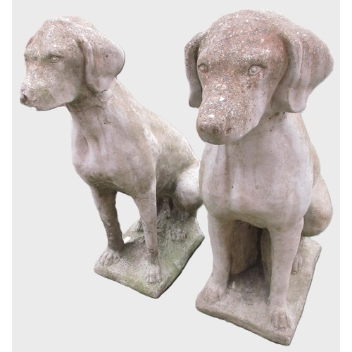 1602 - Pair of composite models of seated hounds, on rectangular bases W27cm D44cm H70cm (2)