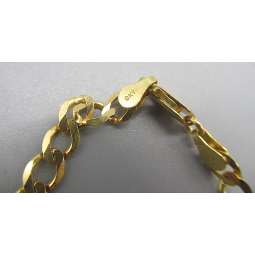 38 - 9ct yellow gold chain link necklace, stamped 375 and 9kt, 11.11g

Shipping £23.00 plus vat (UK Only)