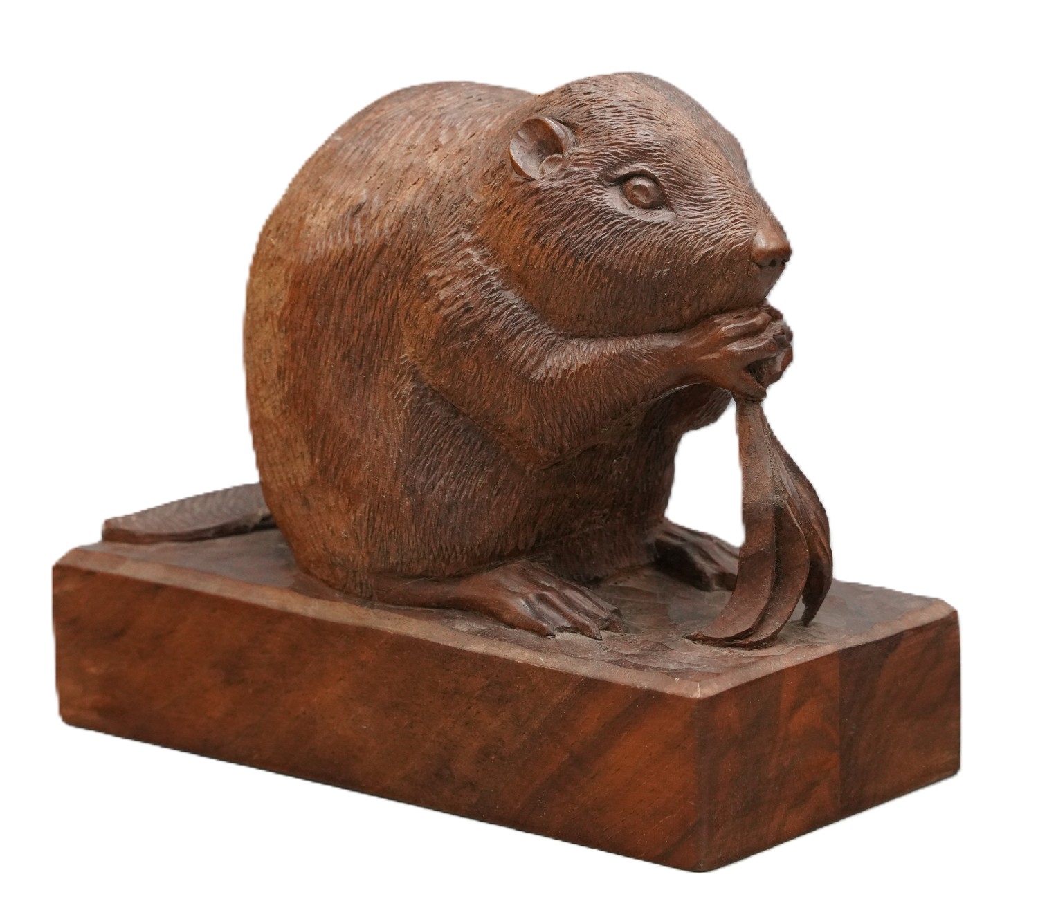 Peter Raymond Stout - carved wood model of a seated Beaver eating ...