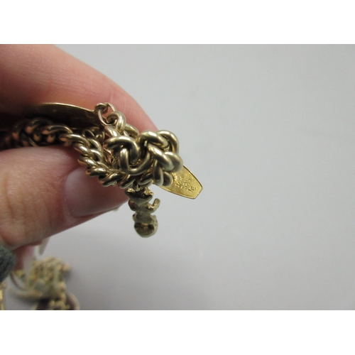 58 - 8ct yellow gold charm bracelet, stamped 333, with a selection of charms stamped at 14ct, 18ct or unm... 