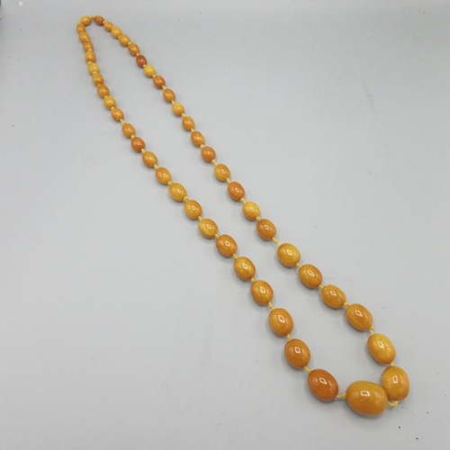 1028 - Butterscotch amber graduated bead necklace, strung knotted, approximate L114cm, largest bead 30mm

B... 