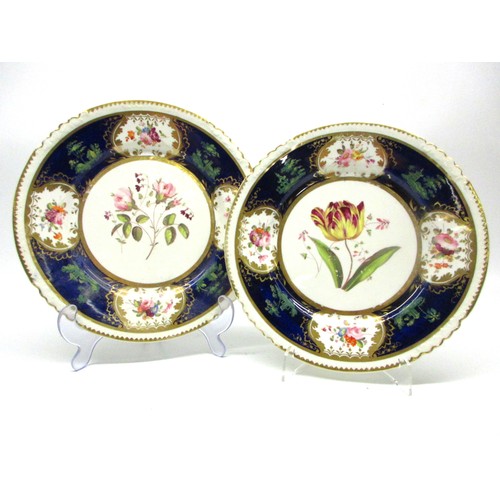 Selection of Rockingham porcelain plates, plus tea cup & saucer, c1826 ...