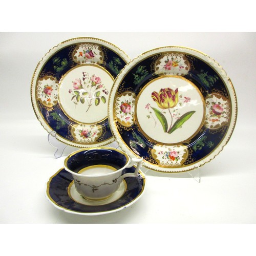 Selection of Rockingham porcelain plates, plus tea cup & saucer, c1826 ...