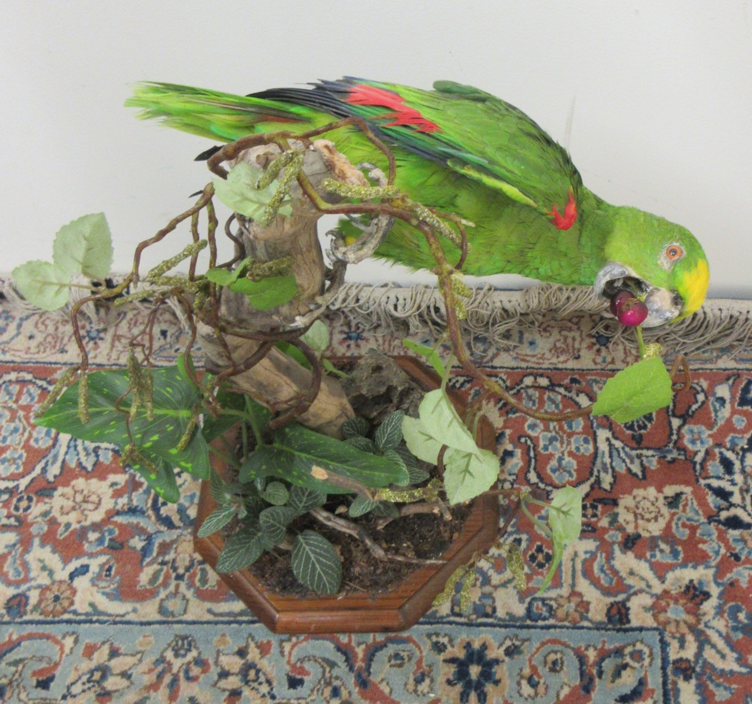 taxidermy-a-green-parrot-on-a-naturalistic-branch-and-octagonal-base