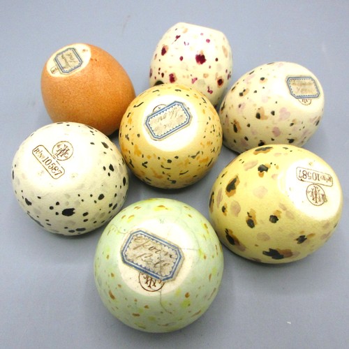 790 - Collection of early-20th Century James Macintyre & Co hand-painted speckled egg cups/pinch pots in t... 