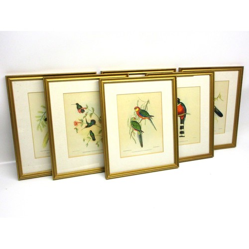 791 - Victorian ornithological lithographs sketched by John Gould (British, 1804-'81), from his Birds of A... 