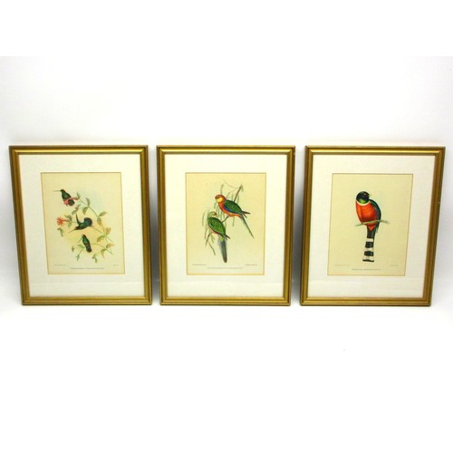 791 - Victorian ornithological lithographs sketched by John Gould (British, 1804-'81), from his Birds of A... 